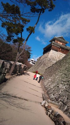 向こうに天守閣.jpg