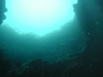 積丹20090726 022.jpg