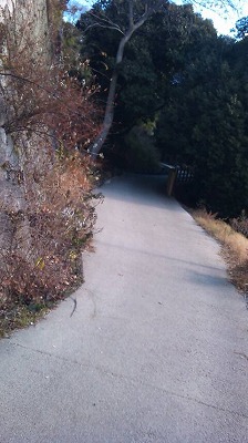 登り道その1.jpg