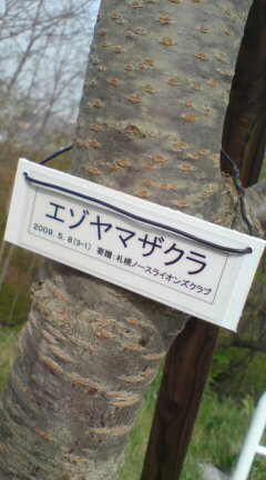 20090508144542.jpg