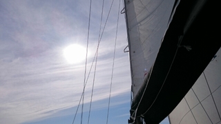 20150526104209198.jpg