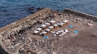 20160903235434280.jpg