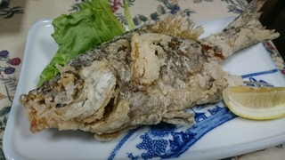 20170502202938706.jpg