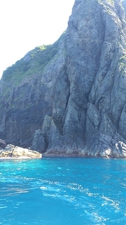 DSC_0334.jpg