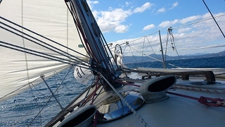 DSC_0585.jpg