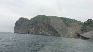 DSC_0778.jpg