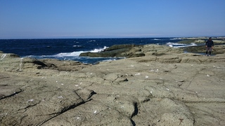 DSC_0792.JPG