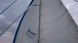 DSC_0818.JPG