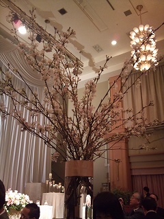 テーブルに桜.jpg
