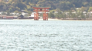 海から近づく鳥居.jpg