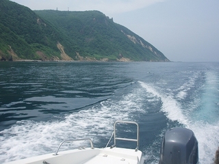 P1014284.jpg