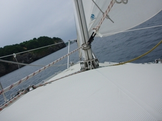 P1015324.jpg