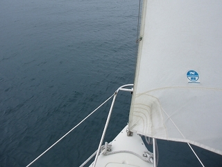 P1015333.jpg