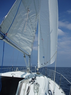 P1015377.jpg