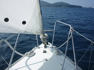 P1015381.jpg