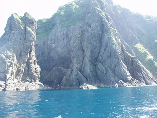 P1015482.jpg