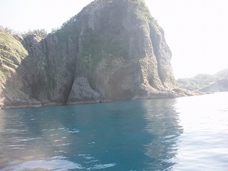 P1015484.jpg