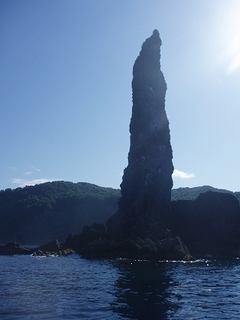 P1015490.jpg