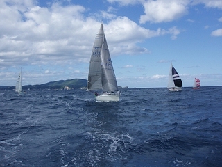 P1015625.jpg