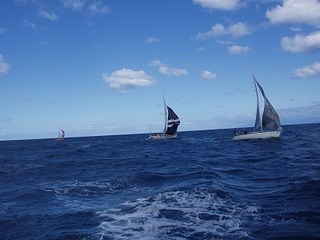 P1015630.jpg
