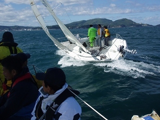 P1015641.jpg