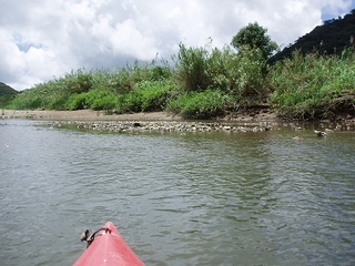 P6284394.jpg