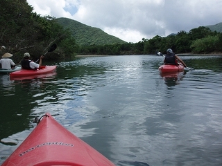 P6284398.jpg