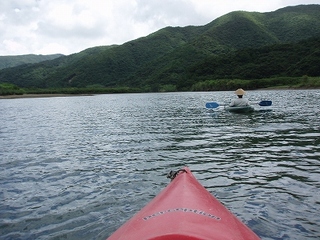 P6284406.jpg