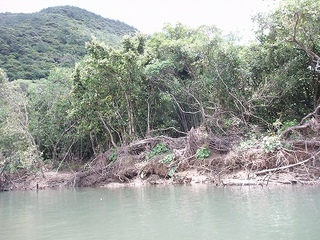 P6284410.jpg