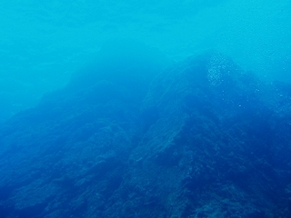 P6294475.jpg