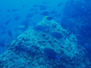 P6294500.jpg
