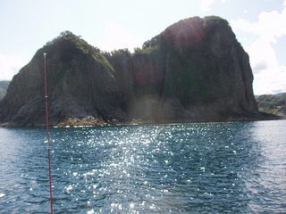 P9254829.jpg