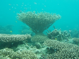PA284854.jpg