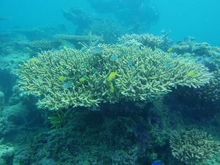 PA284878.jpg