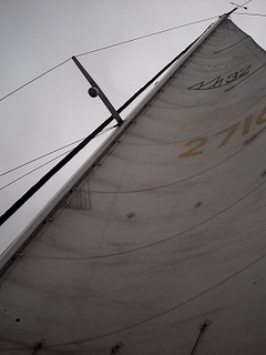PICT0632.jpg