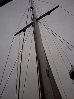 PICT0641.jpg