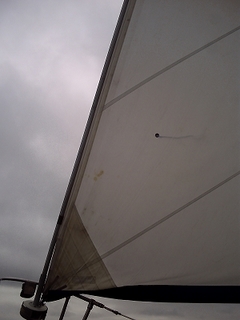 PICT0644.jpg