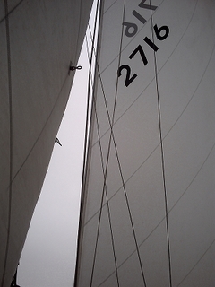 PICT0651.jpg
