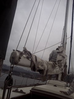 PICT0679.jpg
