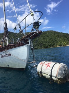 S__24723463.jpg