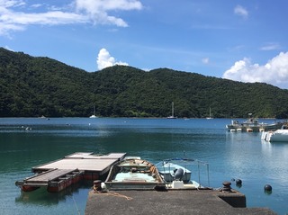 S__24723466.jpg